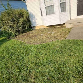 Flower Bed Weeding by Tight Lines LawnService reviewed on June 14, 2022