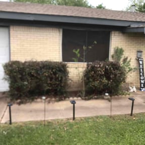 Bush Trimming by SunnyDay Lawn Service+Maintance reviewed on July 15, 2022
