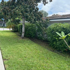 Bush Trimming by Cutting up Lawn and Tree Care reviewed on July 26, 2022
