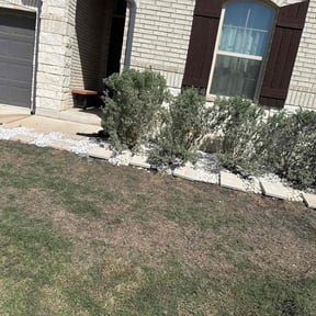 Landscaping by Jero&#039;s Landscape reviewed on August 7, 2025