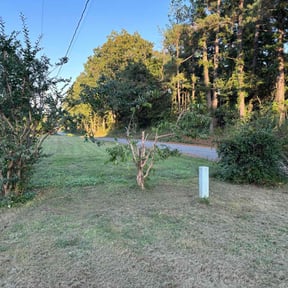 Bush Trimming by Precision Lawn Experts reviewed on March 10, 2025