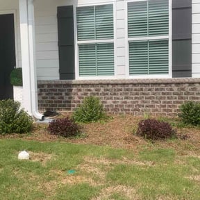 Bush Trimming by Pure Scapes Solutions LLC reviewed on July 6, 2025