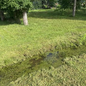 Cleanups by Cuttas Landscaping & Lawn Services reviewed on October 12, 2021