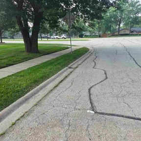 Weeding by Avis Wrecking and lawn care co. reviewed on July 4, 2025