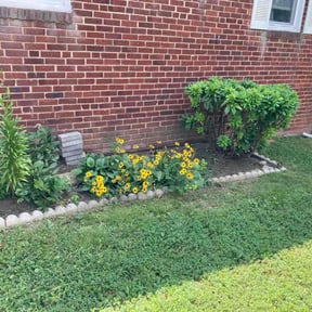 Flower Bed Weeding by CF Landscaping &amp; Tree LLC reviewed on May 7, 2025