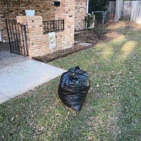 Flower Bed Weeding by Javan Lopez reviewed on February 18, 2025