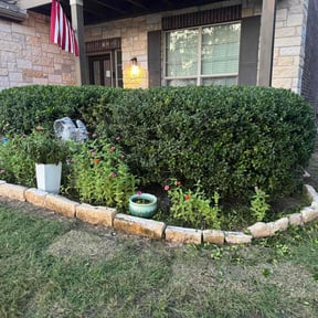 Bush Trimming by EZe quality scapes reviewed on July 2, 2025