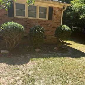 Bush Trimming by McNeil's lawn care & maintenance reviewed on November 13, 2024