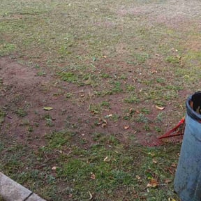 Cleanups by Dream Lawns reviewed on June 18, 2025