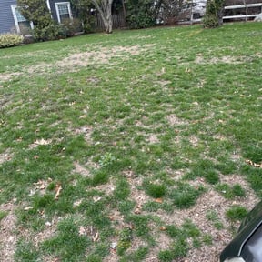 Landscaping by LawnsRUs reviewed on May 2, 2022