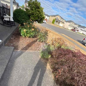 Weeding by TruGreen LawnCare reviewed on September 5, 2024