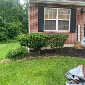 Bush Trimming by Full Circle Lawn & Landscape reviewed on July 5, 2022