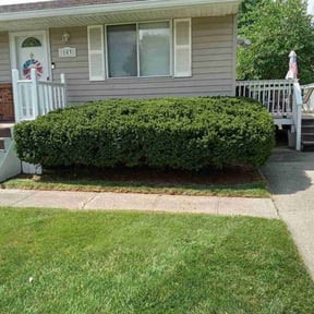 Bush Trimming by Al's Lawn care service/maintenance reviewed on July 25, 2022