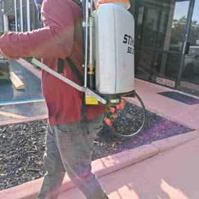 Flower Bed Weeding by Landmark Lawns reviewed on June 25, 2025