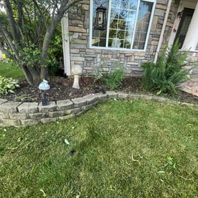 Flower Bed Weeding by Paramount Professional Services reviewed on July 6, 2022