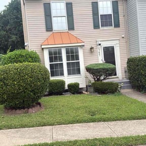 Bush Trimming by 66landscaping.com reviewed on December 8, 2024