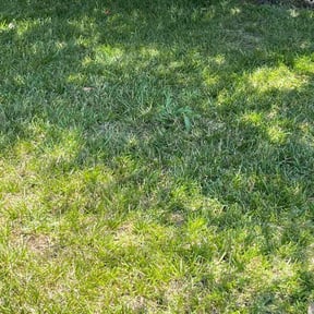Landscaping by Sage Cleaning Services reviewed on April 27, 2022
