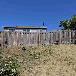 Cleanups by Nw Premier Lawn care reviewed on July 31, 2020