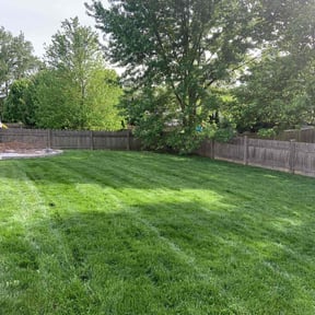 Cleanups by Burdock Lawn's and More reviewed on July 30, 2022