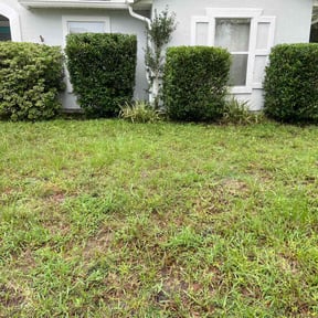 Bush Trimming by Morrows lawn care reviewed on May 19, 2022