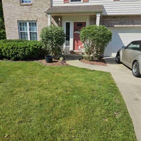 Bush Trimming by Robert Dukes Kut Pro Lawn Maintenance reviewed on June 6, 2022
