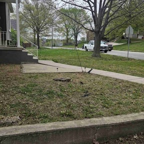 Leaf Removal by Yard Boss Lawn & Landscape LLC reviewed on June 14, 2022