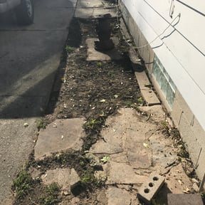 Bush Trimming by Greg's Landscaping reviewed on April 25, 2022