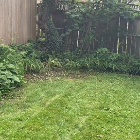 Cleanups by Sharp Cutz LLC reviewed on June 9, 2022
