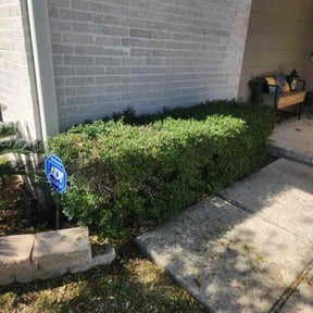 Bush Trimming by Morris Lawncare reviewed on May 26, 2022