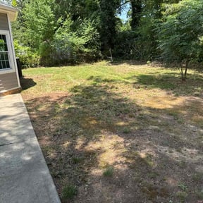 Leaf Removal by Clean Cut Lawn Service reviewed on July 12, 2022