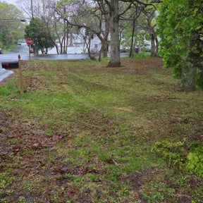 Leaf Removal by John Geisler reviewed on May 4, 2022