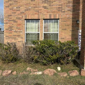 Bush Trimming by Emerald Lawns reviewed on February 27, 2025