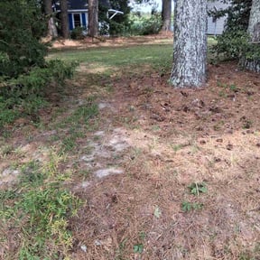 Cleanups by Gold Quality Lawn Care Service reviewed on February 15, 2025