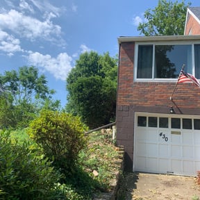 Bush Trimming by 4 You Landscaping LLC reviewed on December 8, 2024