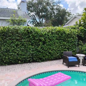 Bush Trimming by Ultimate Landscape Contractor reviewed on March 19, 2025