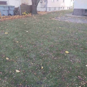 Leaf Removal by Blu's Lawn Care reviewed on October 25, 2022