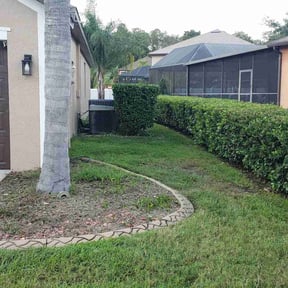 Bush Trimming by Lawn Impression reviewed on January 10, 2022
