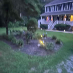 Flower Bed Weeding by Household Maintenance & Lawn Care Services reviewed on December 14, 2024