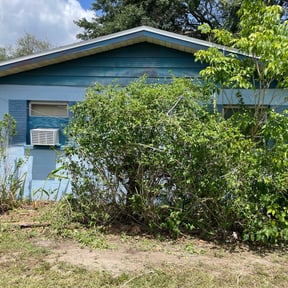 Bush Trimming by ANDES PRO SERVICES LLC reviewed on July 2, 2025