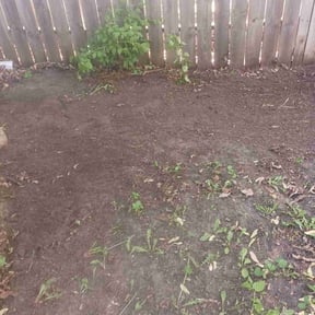 Leaf Removal by Cream of the Cut Lawn Care reviewed on April 28, 2022