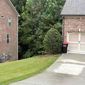 Bush Trimming by Hammond lawncare reviewed on October 5, 2024