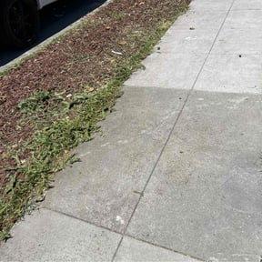 Flower Bed Weeding by ASV landscaping and trimming reviewed on June 30, 2022