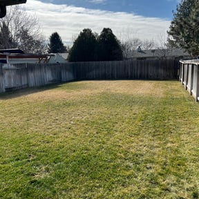 Weeding by Homegrown handyman and lawncare reviewed on October 18, 2022