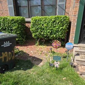 Bush Trimming by Lawn pros. reviewed on August 6, 2022