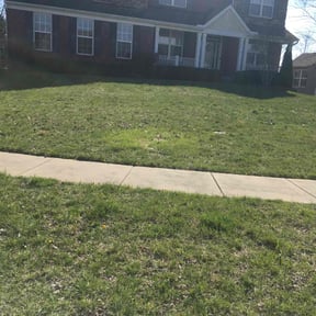 Leaf Removal by McHenry Landscaping and Pressure Washing reviewed on May 24, 2022