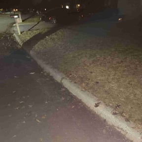 Leaf Removal by Elite Mowing Services reviewed on August 3, 2022
