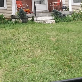 Weed Pulling by Martins Lawn and Landscape LLC reviewed on April 11, 2025