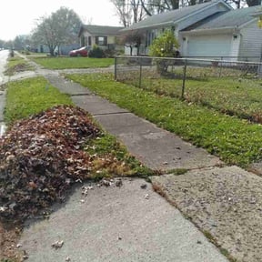 Bush Trimming by Lawn Pro grounds management reviewed on July 17, 2022