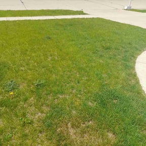 Lawn Seeding by Jacobs lawn service reviewed on June 23, 2022