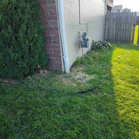 Bush Trimming by Crowder's lawn care reviewed on July 10, 2022